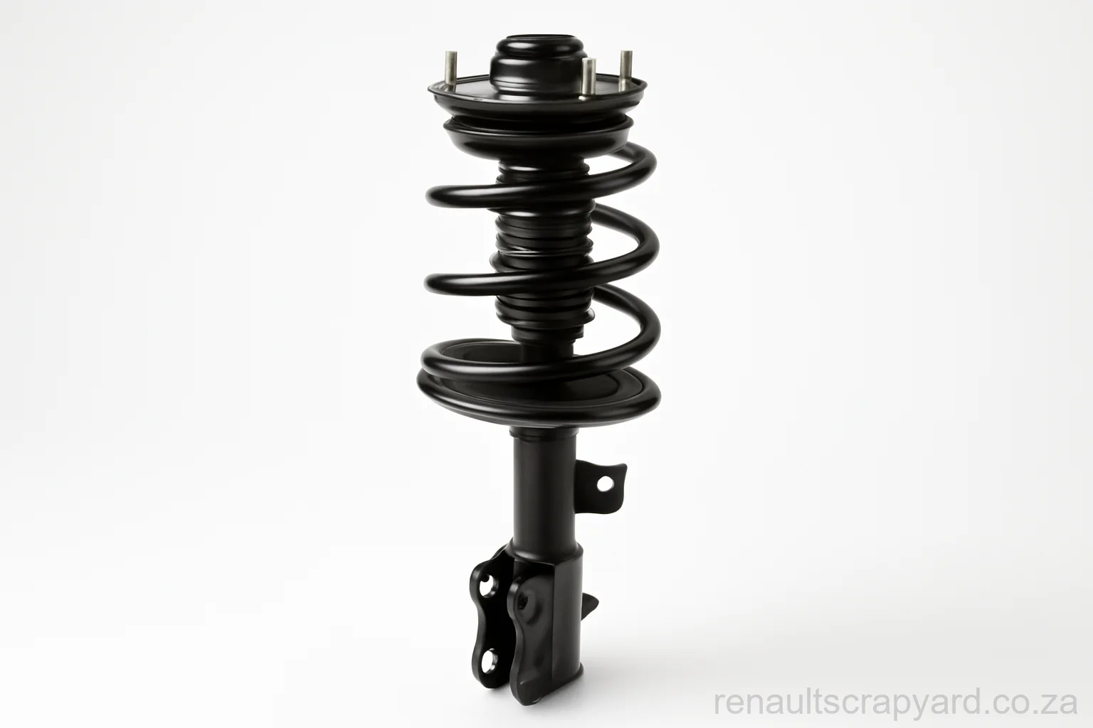 Struts for Renault vehicles